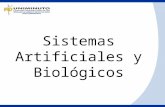 Sistemas artificial y biologico