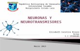 Neurona y neurotransmisores
