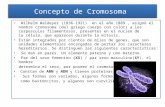 Presentación1cromosomas nora