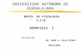 Hipofisis  I