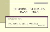 Hormonas Sexuales Masculinas