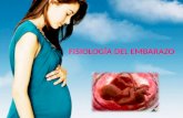 Fisiologia del embarazo