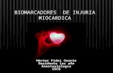 Biomarcadores  de injuria miocardica