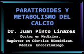 Paratiroides y metabolismo del calcio