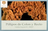 Pólipos de Colon y Recto