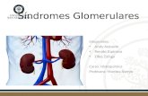Histoquímica sindromes glomerulares