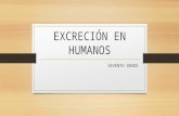 Excreción en humanos