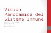 Curso Inmunologia 03 Inmunidad innata y adquirida