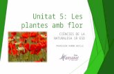 Unitat 5: Les plantes amb flor