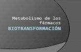Metabolismo delos fármacos Biotransformacion