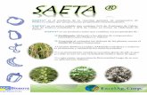Saeta ®(1)