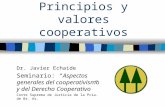 Principios cooperativos
