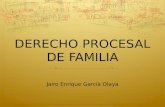 Derecho procesal de familia   Jairo Enrique García Olaya - Abogado Bogotá