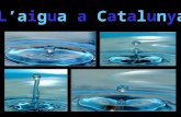 L’aigua a Catalunya