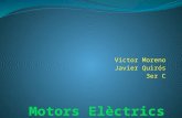 Motors elèctrics