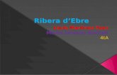 Ribera d’ebre(7)