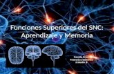 Aprendizaje y Memoria- FUNCIONES SUPERIORES DEL SNC.