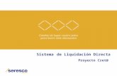 Sistema de Liquidación Directa | Proyecto Cret@