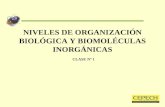 Clase 01; niveles de organización biológica y biomoléculas inorgánicas