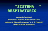 4.  Sistema Respiratorio - Profesorado de Educación Física - Quitilipi