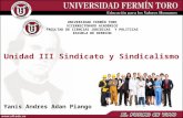 Unidad iii sindicato y sindicalismo