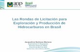 Las Rondas de Licitación para Exploración y Producción de Hidrocarburos en Brasil