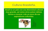 Cultura brasileña