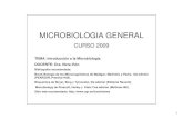 Bacterias. Microbiología