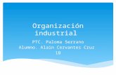 Organización industrial tipos de estructura