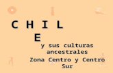 Pueblos originarios-de-chile-zona-cetro