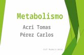 Metabolismo parte 2