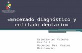 Seminario n°4. Encerado diagnóstico y enfilado dentario.
