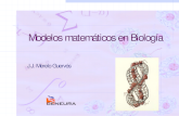 Matemáticas y biología (2000)