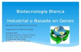 Biotecnología Blanca (basada en Genes o industrial)