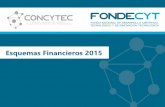Esquemas financieros concursables de fondecyt 2015