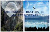 COMPONENTES BASICOS DE LOS ECOSISTEMAS