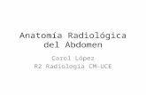 Anatomía radiológica del abdomen