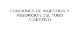 Funciones absorcion sistema digestivo rodriguez analia