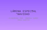 Lamina 14 "Especial"