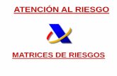Atención al riesgo. Matrices de riesgo - Visita de intercambio a la Agencia Estatal de Administración Tributaria (AEAT) de España sobre inteligencia fiscal (Técnicas de Inspección)
