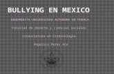 Bullying en mexico