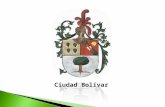 Plan de seguridad Ciudad Bolívar