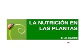 Nutricion en las plantas EAT