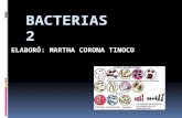 Bacterias 2