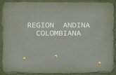 Region  andina colombiana