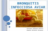 Bronquitis infecciosa aviar