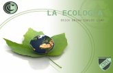 Carlos limo   ecología