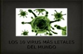 Los 10 virus. EOE1 UT Cancún. Armando Sánchez Zapata CO12