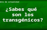 Perú: En defensa de la vida, ¡No! a los transgénicos
