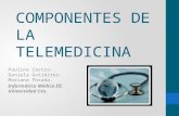 Componentes de la telemedicina (final)